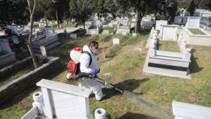 Mezarlıklar ilaçlandı