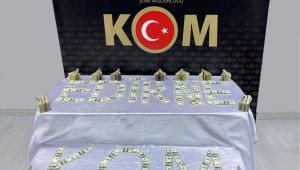 Otomobilde sahte 138 bin 250 dolar ele geçirildi