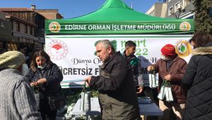 Vatandaşlara 5 bin adet fidan dağıtıldı