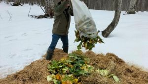 Yaban hayvanlarına 18,5 ton yem bırakıldı