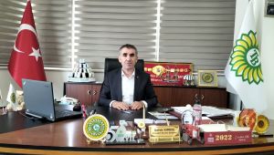 Ayçiçeği ekiminde yüzde 10 artış
