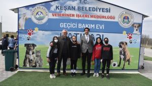 Belediyeden sokak hayvanları etkinliği
