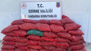 Kum midyesi ile yakalanan zanlıya 148 bin lira ceza