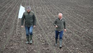 Yağışlar hububatta yüksek rekolte umudunu artırdı