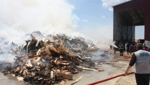 Biyokütle Enerji Santrali'nde yangın çıktı