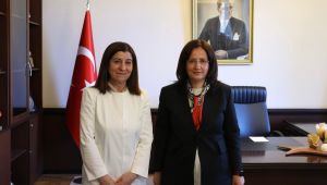 İhalesi yapılan projeler görüşüldü