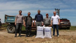 Üreticilere 5 bin 200 kilo çeltik tohumu