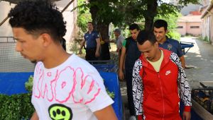 7 düzensiz göçmen yakalandı