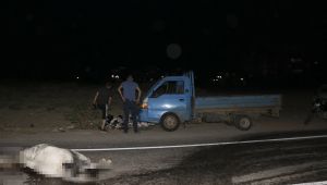 Ata çarpan kamyonetin sürücüsü yaralandı