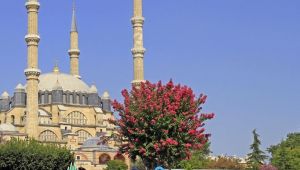 Sınır Ötesi İşbirliği programları Edirne'de tanıtılacak