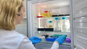 Antibiyotik direncini tespit eden