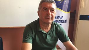 ‘Ayçiçek fiyatında beklenti 17 lira’