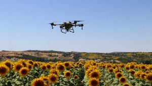 ‘Çayır Tırtılı’na karşı dronlu mücadele