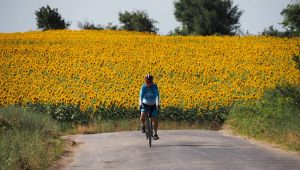 Eurovelo 13 bisiklet rotası Edirne’de