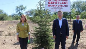 Fidanlar şehitler anısına dikildi