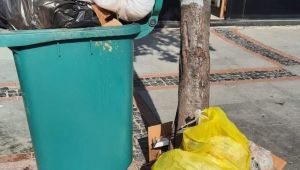 İşletmelerin çöpleri çevreyi kirletiyor