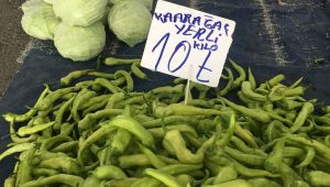 Karaağaç biberi tezgahlarda yerini aldı