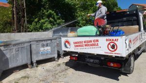 Sineklerle ilaçlı mücadele