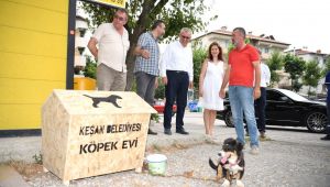 Şoför esnafı, köpek sahiplendi