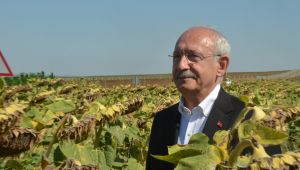‘Ayçiçeğin taban fiyatı 16 bin lira olmalı’