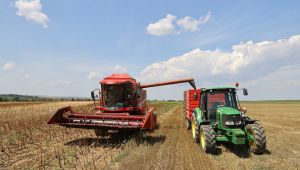 Ayçiçeğinde hasat mesaisi başladı