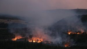 Bulgaristan’da çıkan yangın Edirne’den görülüyor