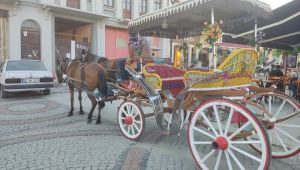 Faytoncular atlarla bekleme yeri istiyor