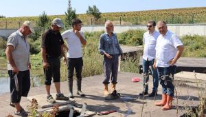 Kaymakamı Kaya köylerde incelemede bulundu