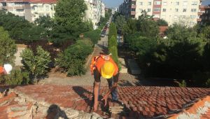 Kent Müzesi'nde çalışmalar devam ediyor