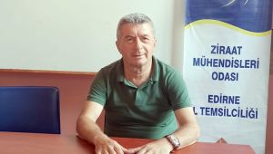Mısır alım fiyatı beklentinin altında kaldı