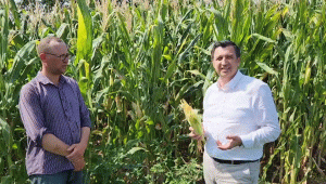 ‘Mısırın tonu 7 bin lira olmalı’