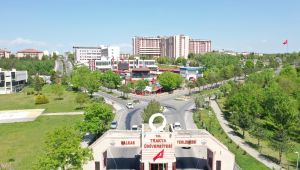 TÜ’nün doluluk oranında büyük artış