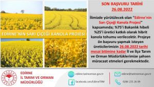 Üreticilere yüzde 75 hibeli kanola tohumu dağıtılacak