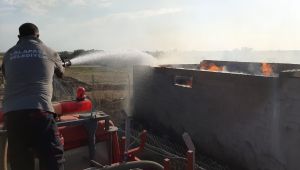 Yangında 3 buzağı ve 1 köpek telef oldu