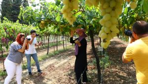 Bağlar, üretimden hasada kadar fotoğraflanacak
