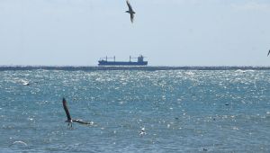Balıkçılar Marmara'daki poyrazın dinmesini bekliyor
