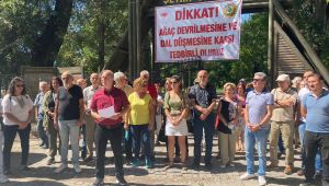 EKK’dan ‘Söğütlük doğal kalsın’ platformu