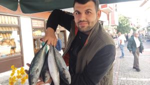 Hamsinin kilosu 90 lira