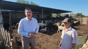‘Küçükbaşta ihracat izni üreticiye yaramadı’
