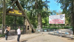 Millet bahçesi ihale arifesinde