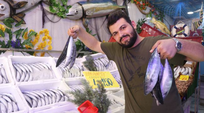 Palamut bolluğu tezgahları şenlendirdi