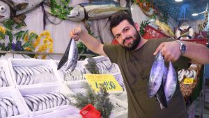 Palamut bolluğu tezgahları şenlendirdi