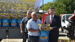 Üreticilere yüzde 75 hibeli tohum