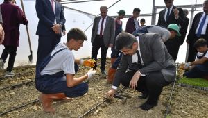 Vali kırbıyık seralarda incelemelerde bulundu