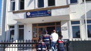 22 Terör Örgütü Üyesi yakalandı