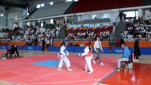 270 sporcu madalya için mücadele etti