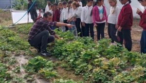 Minik eller toprakla buluştu