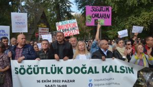 Söğütlük ormanı için insan zinciri