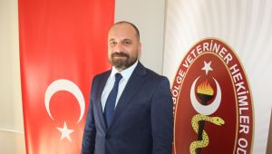 ‘Uyuz vakası insandan insana bulaşıyor’