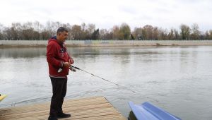 Azimli kedi oltadaki balığı kaptı